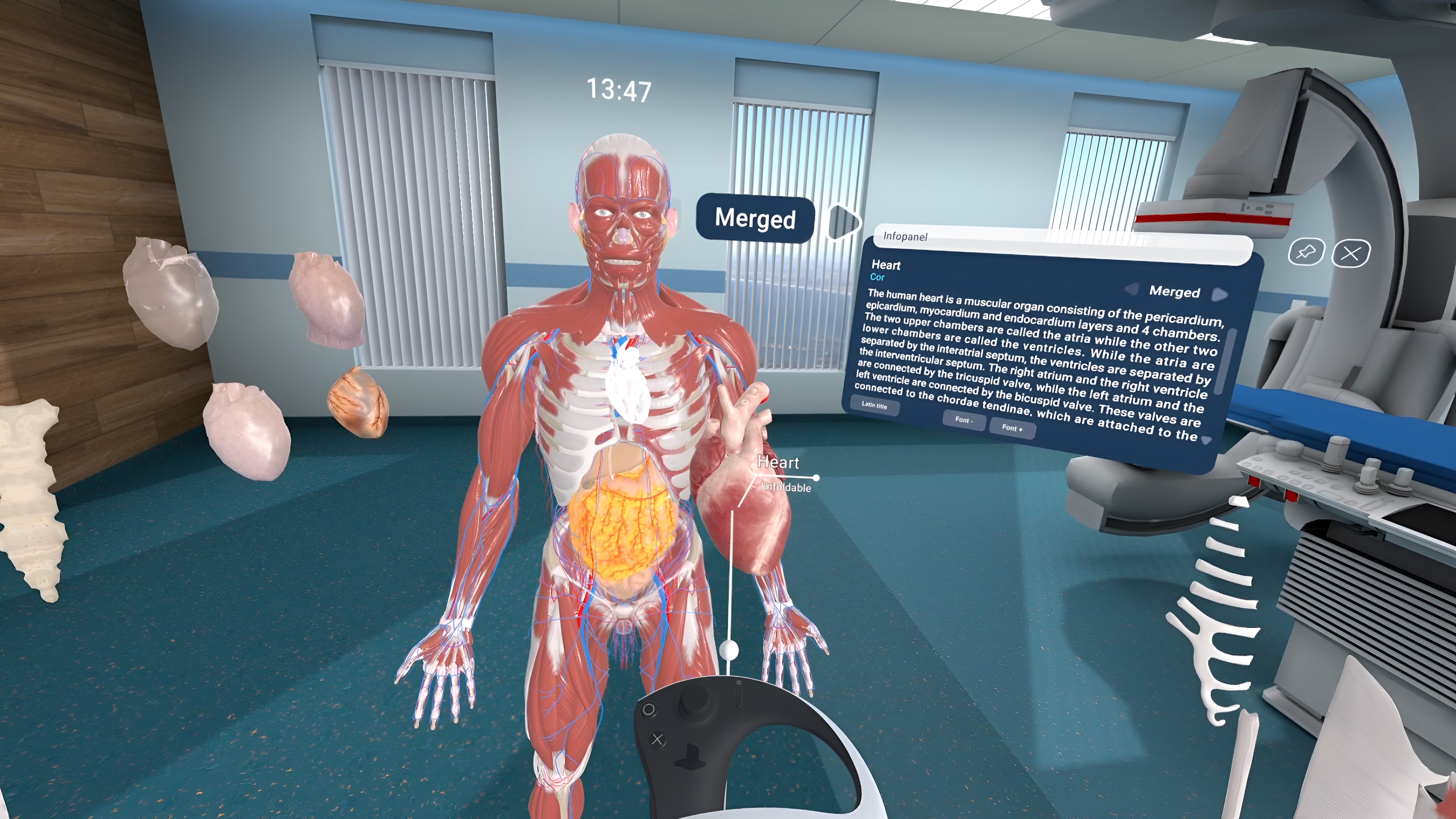 Human Anatomy VR