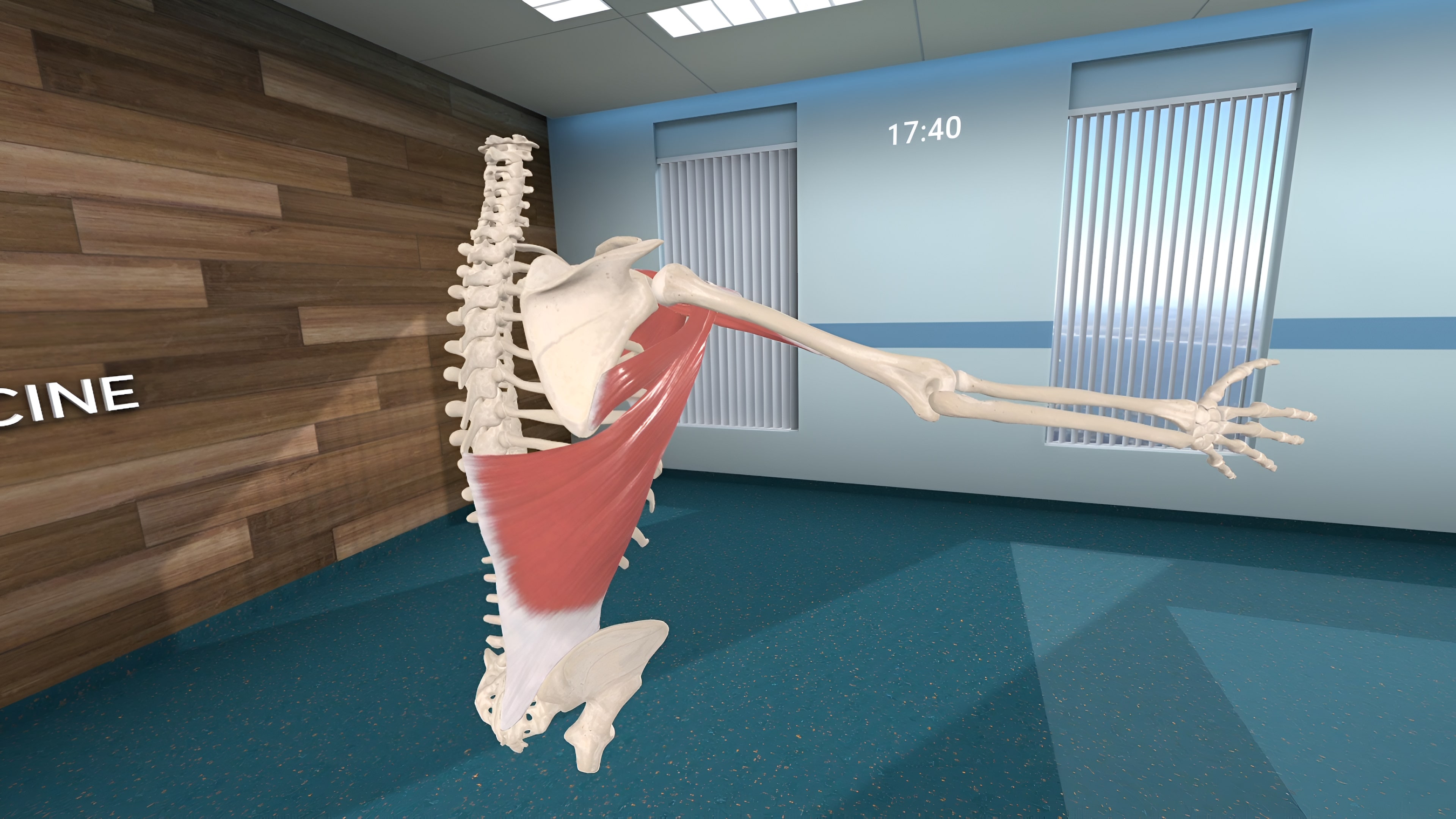 Human Anatomy VR