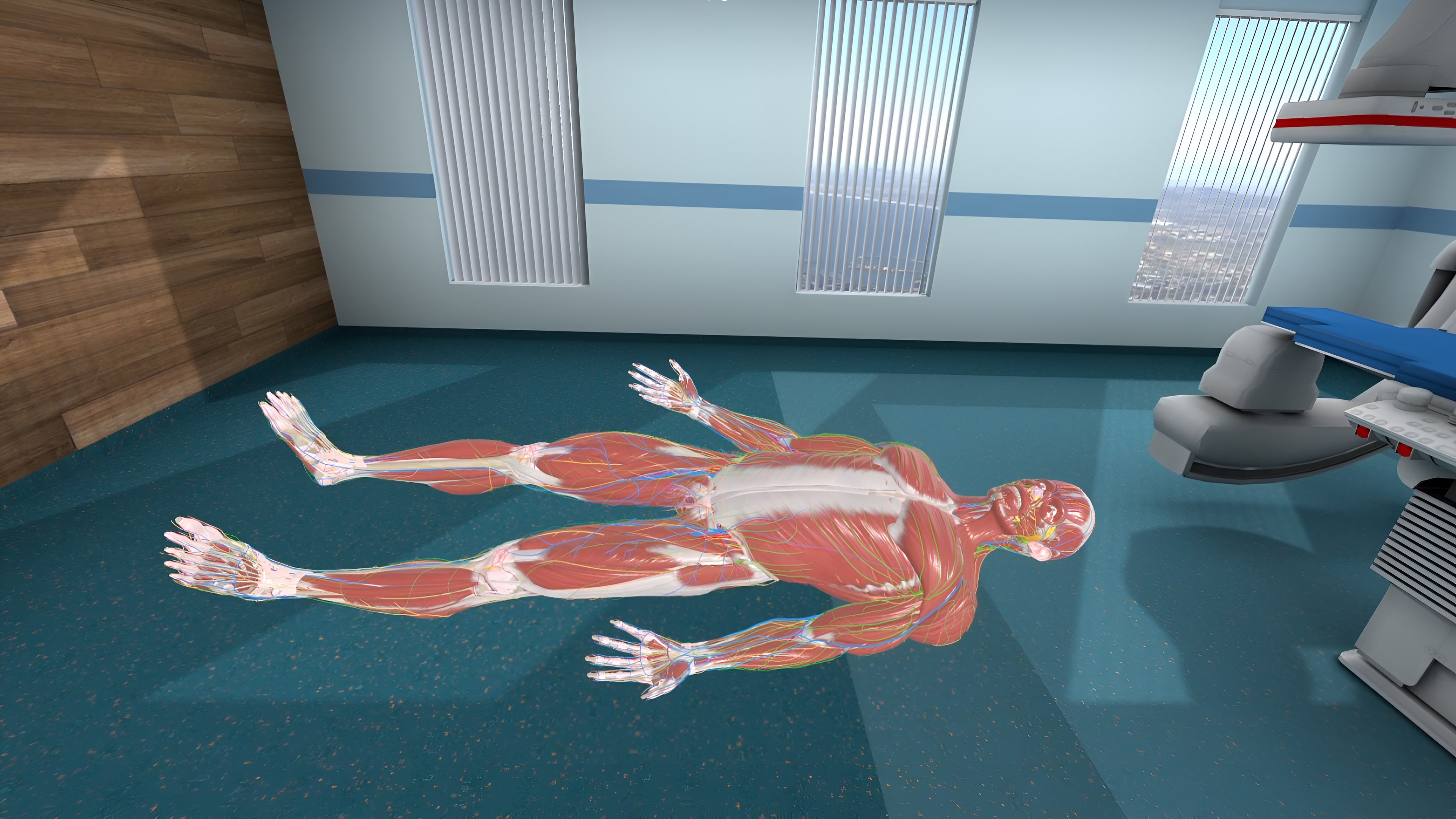 Human Anatomy VR