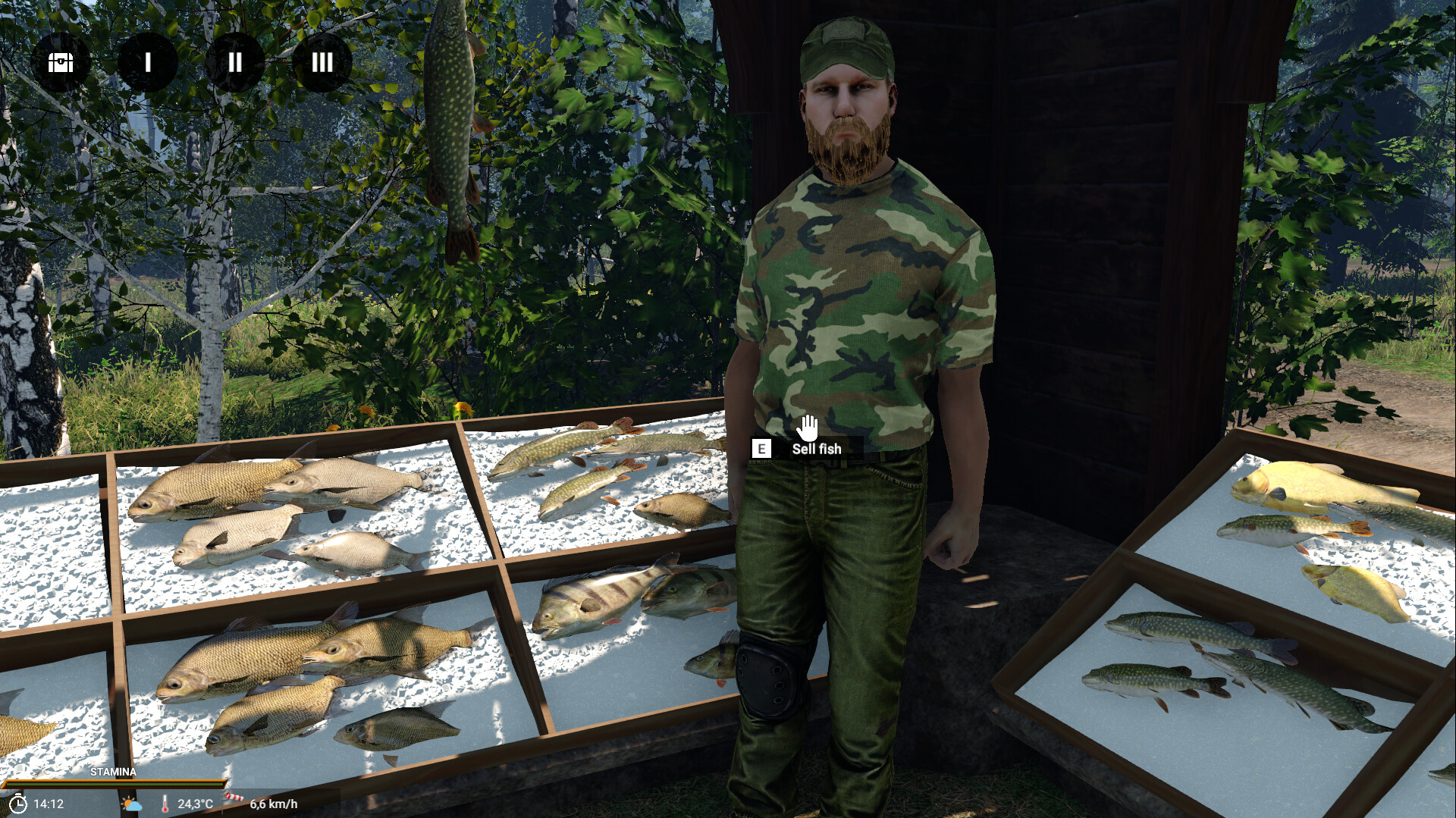 Professional Fishing 2