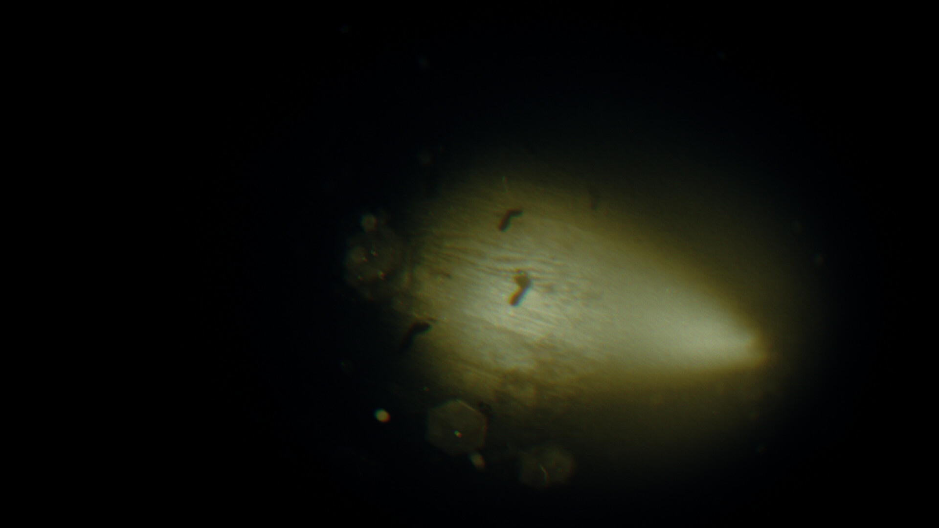 Rec: Beyond The Lens