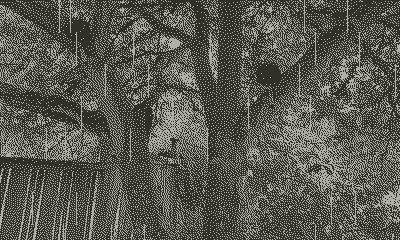 Backyard Rain Soundscape