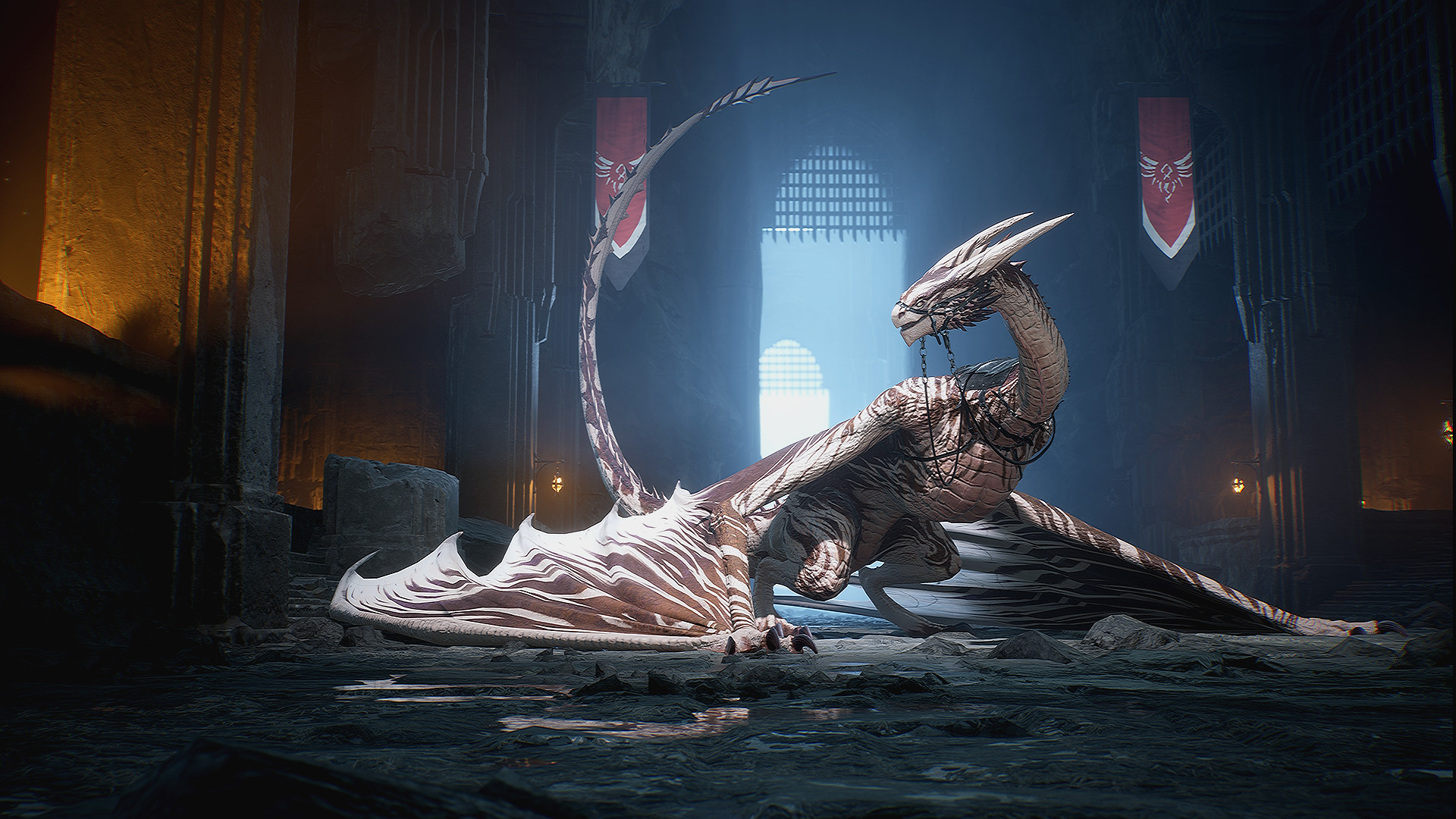 Century: Age of Ashes – Zealot Pack