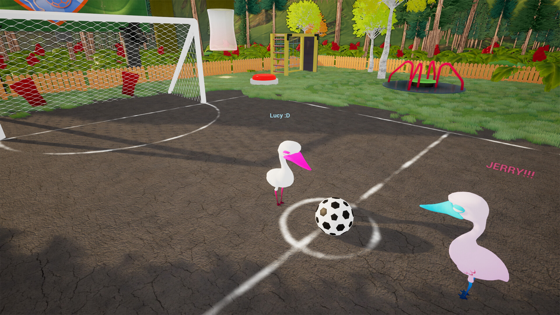 Bird Ball