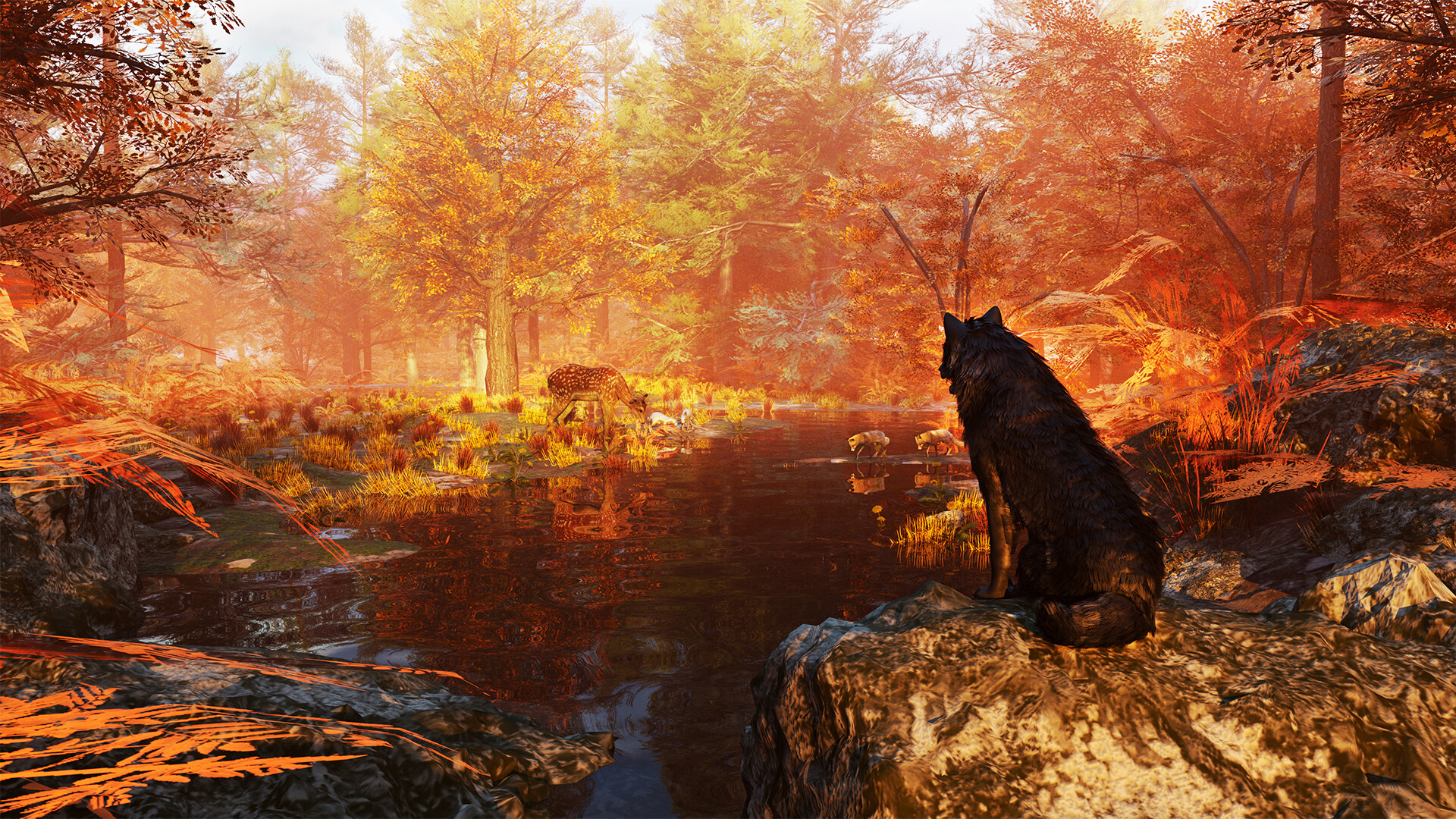 Wolf Simulator