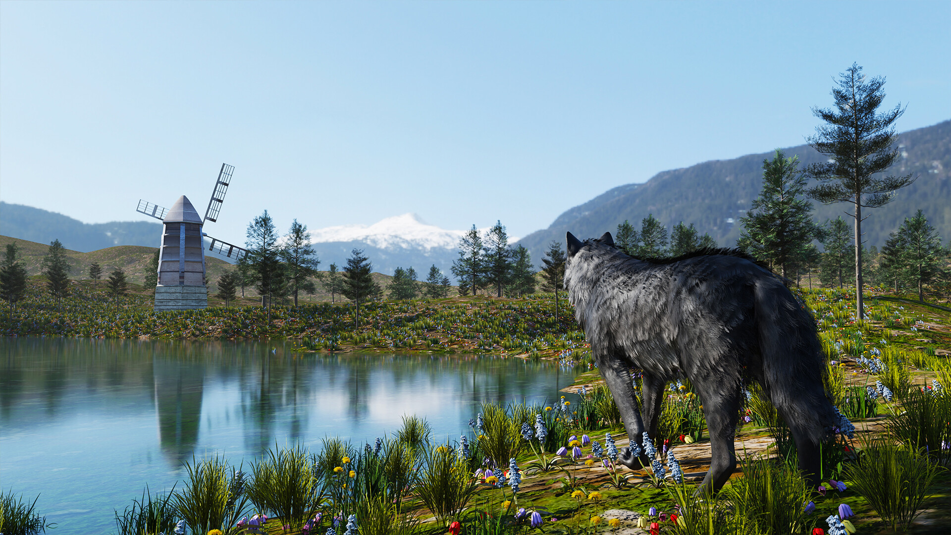 Wolf Simulator