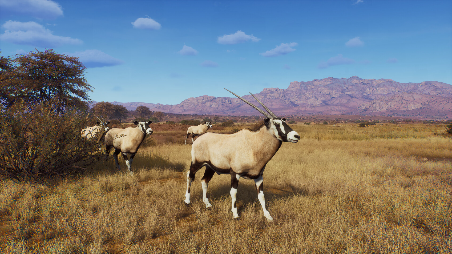 Way of the Hunter: Tikamoon Plains