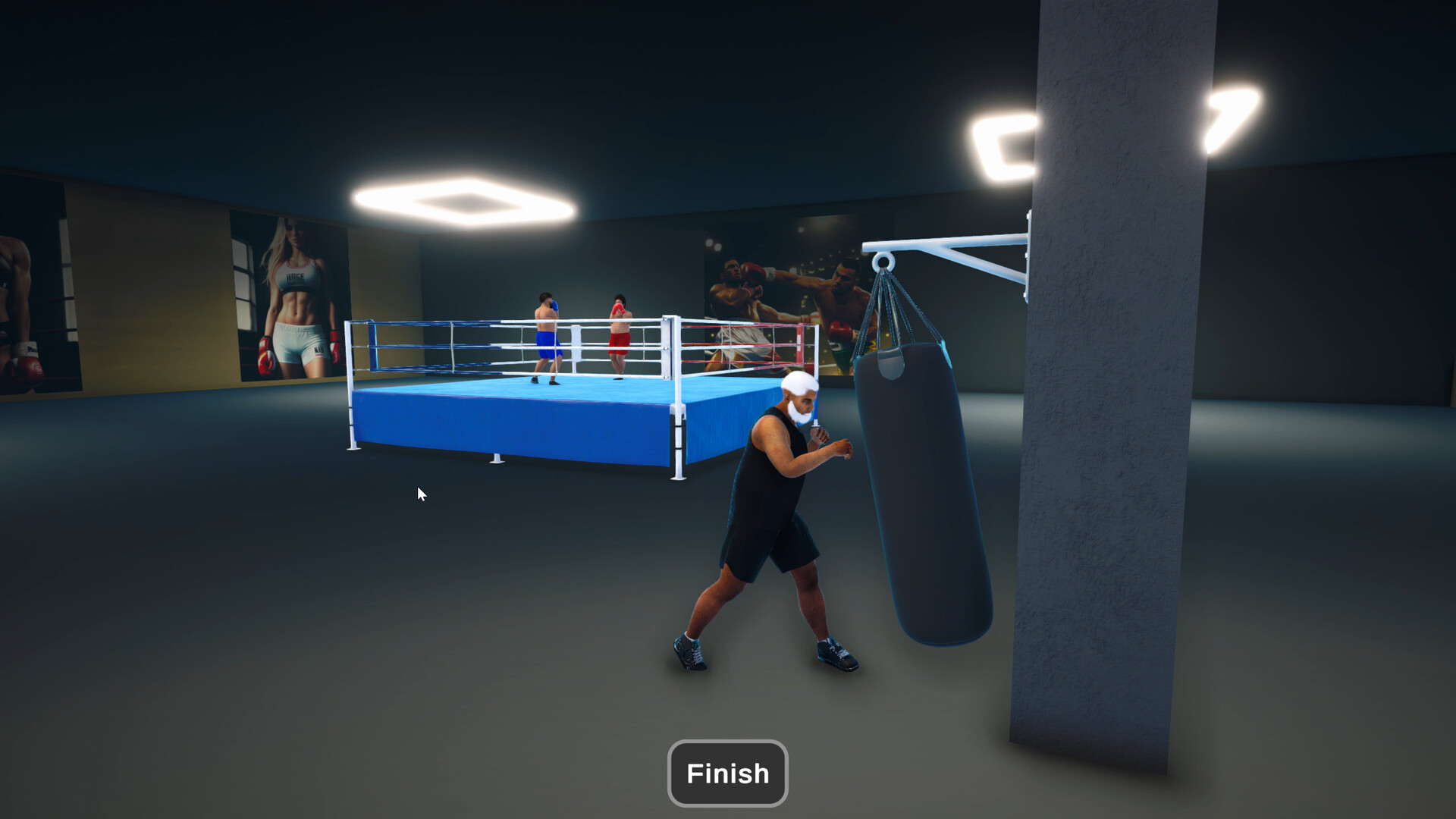 Boxing Simulator
