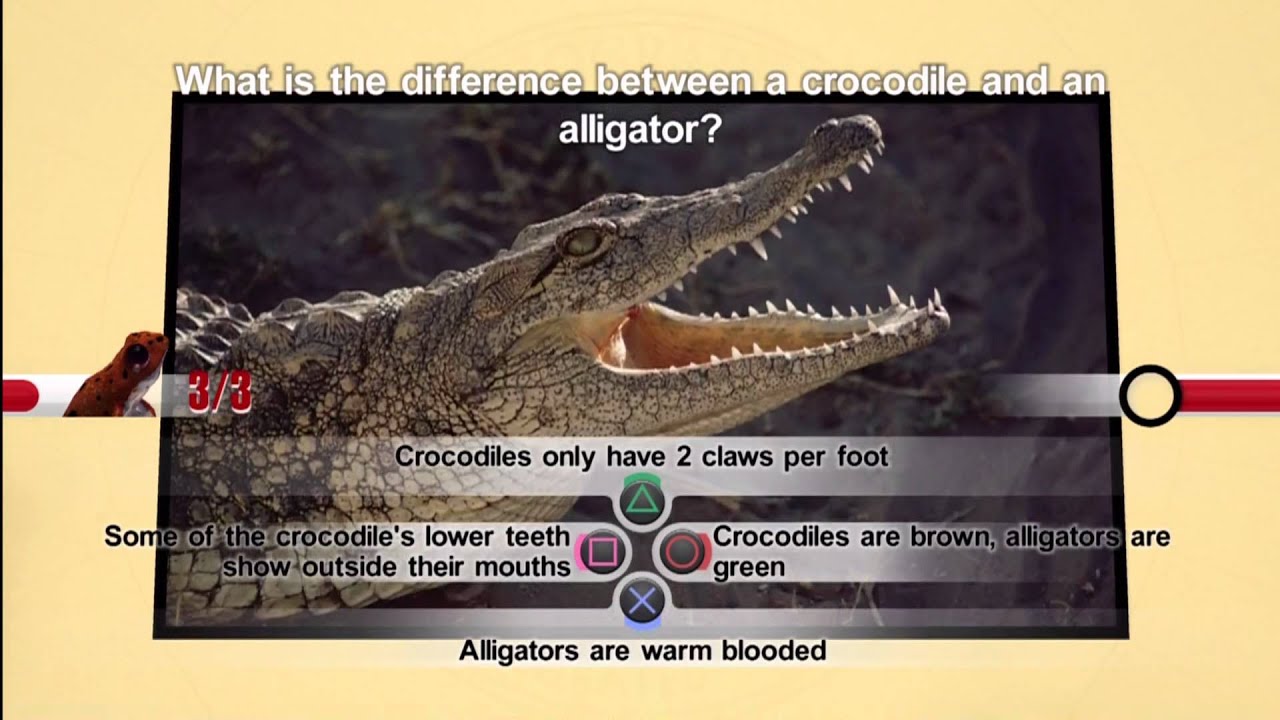 Nat Geo Challenge! Wild Life