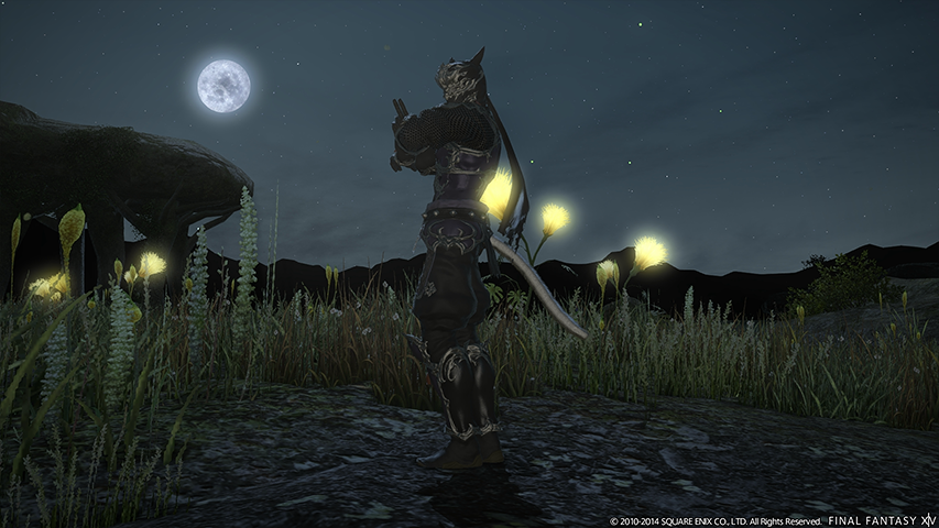 Final Fantasy XIV: Dreams of Ice