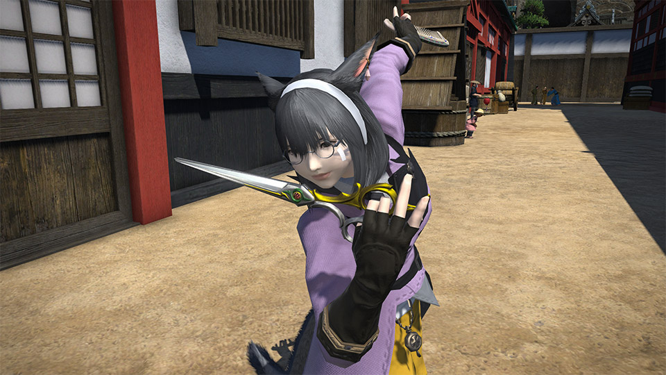 Final Fantasy XIV: Under the Moonlight