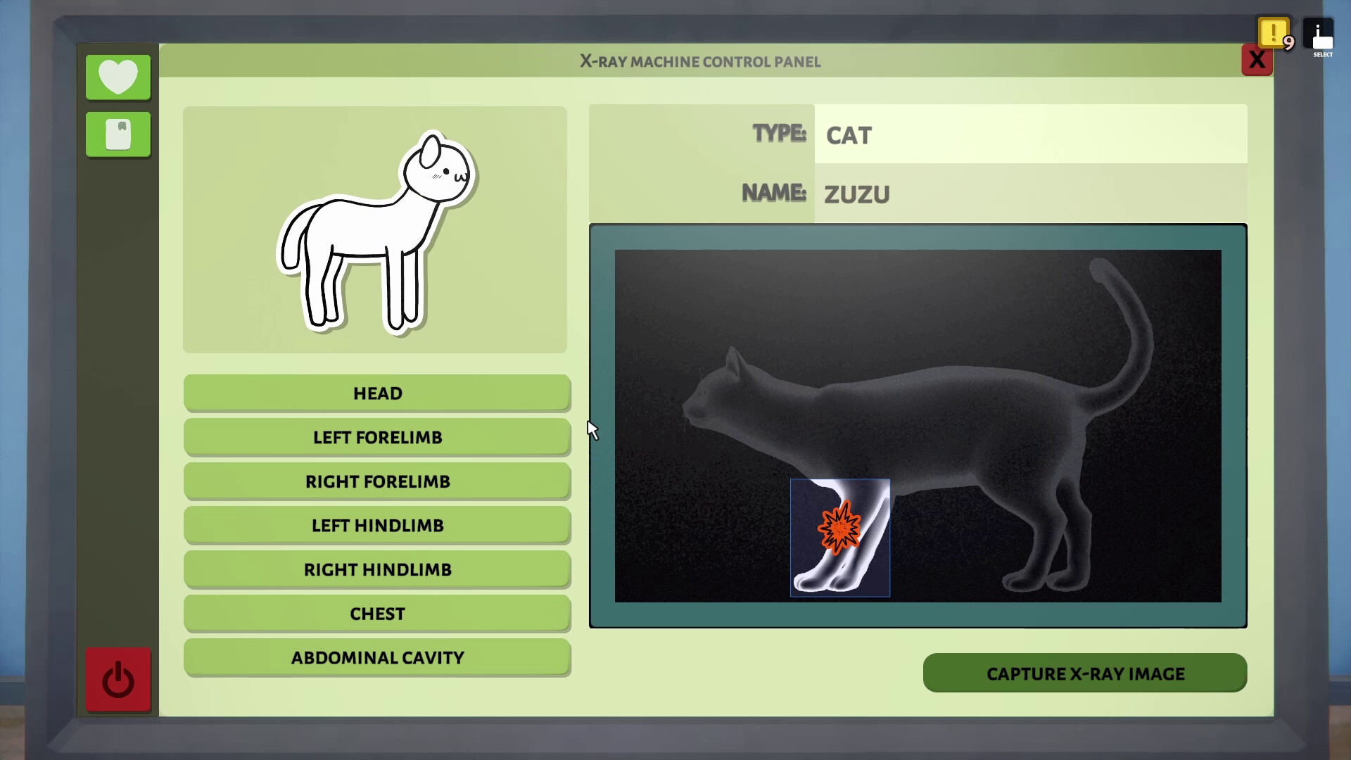Animal Shelter: Vet Clinic