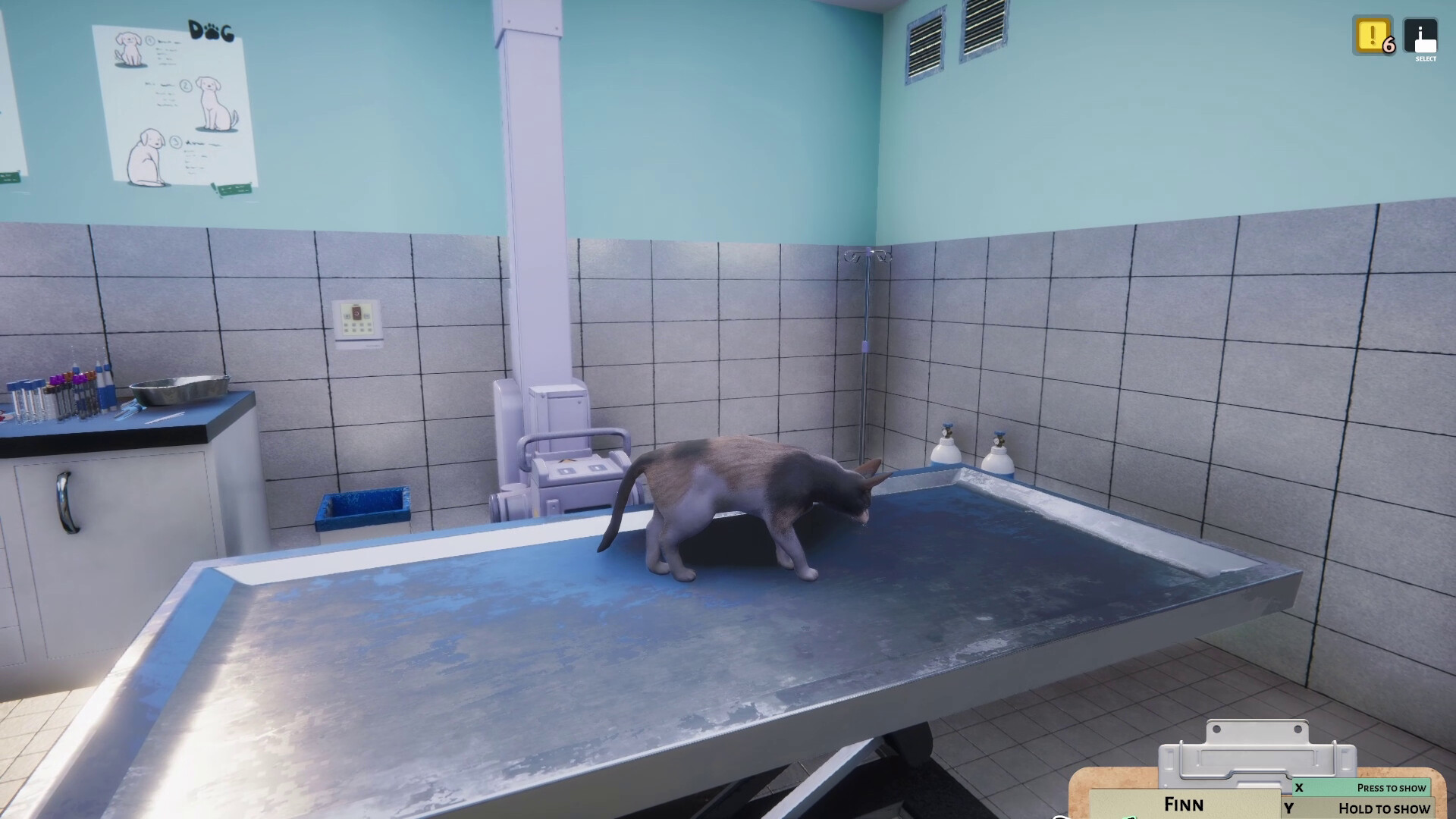 Animal Shelter: Vet Clinic
