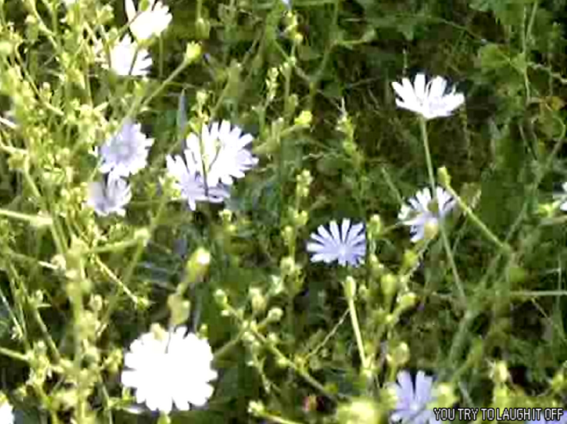 Tomorrow is my Birthday