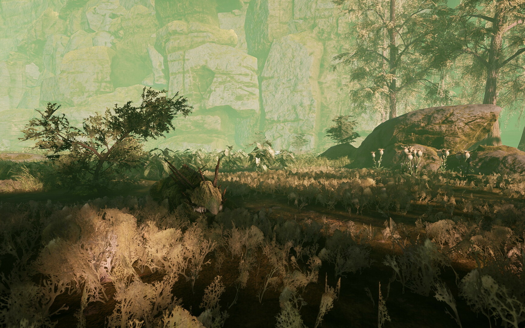 Icarus: New Frontiers