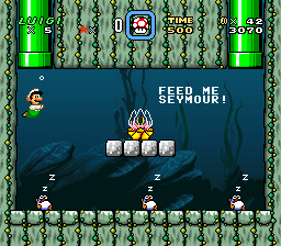 Luigi’s Misadventures 3: Recipe for a Disaster