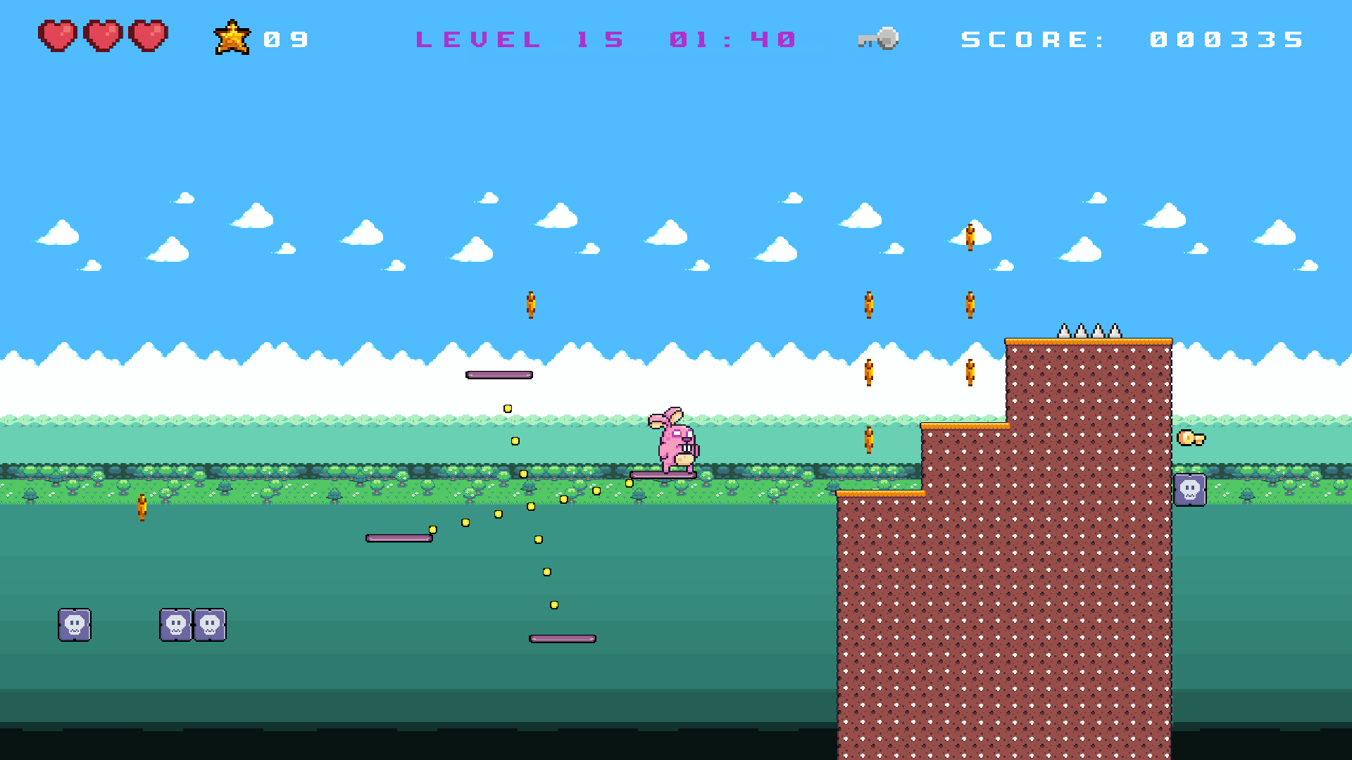 The Rabbit Crazy Adventure