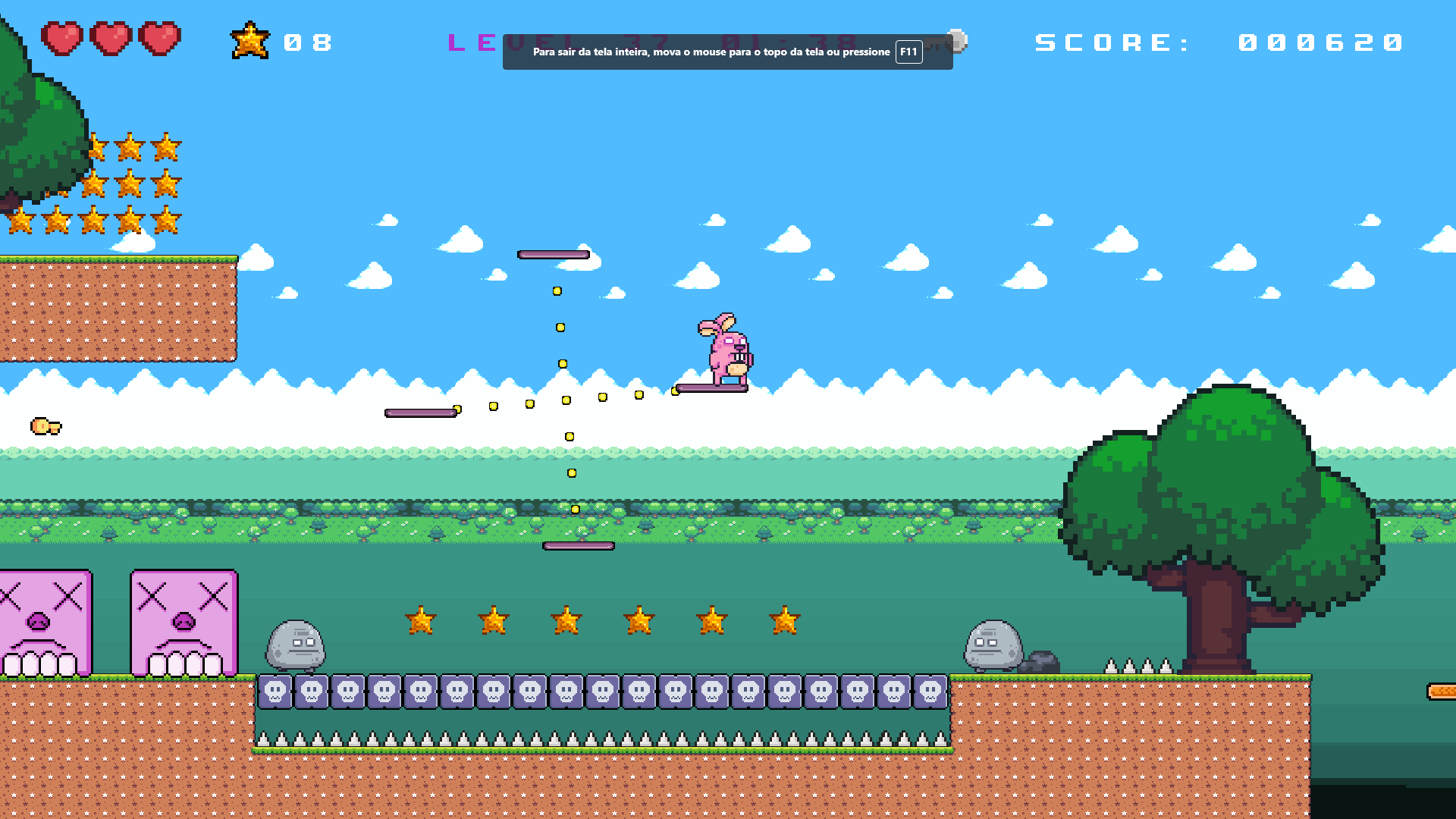 The Rabbit Crazy Adventure