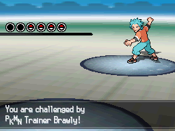 Pokémon Volt White 2