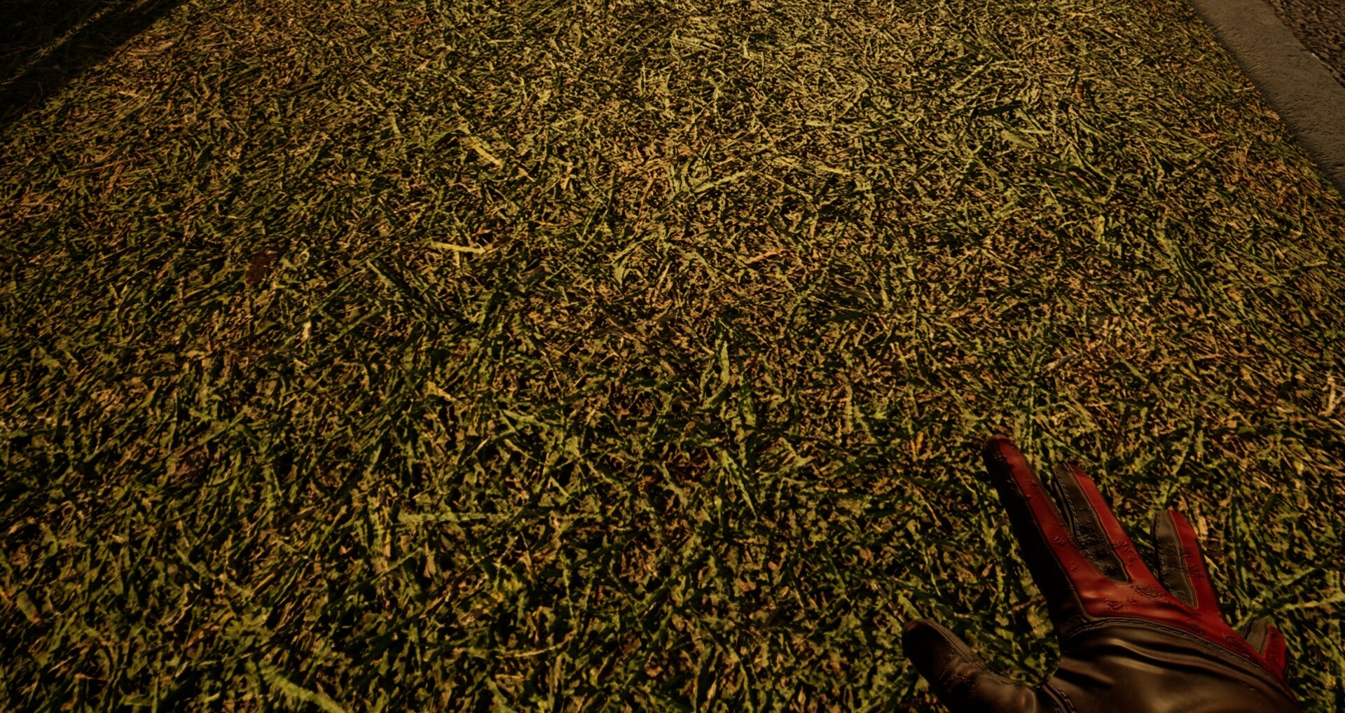 Touch Grass Together