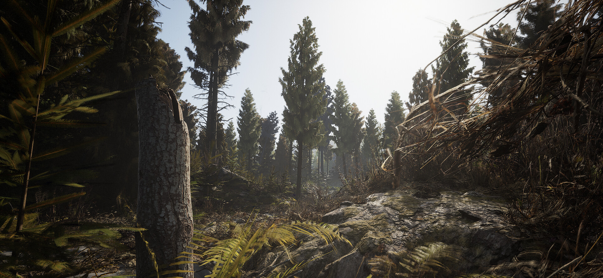 The Great Hunt