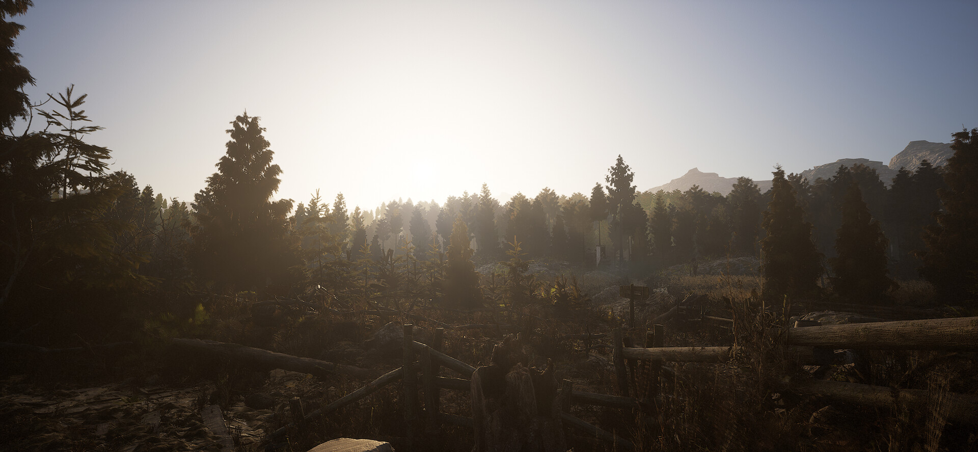 The Great Hunt
