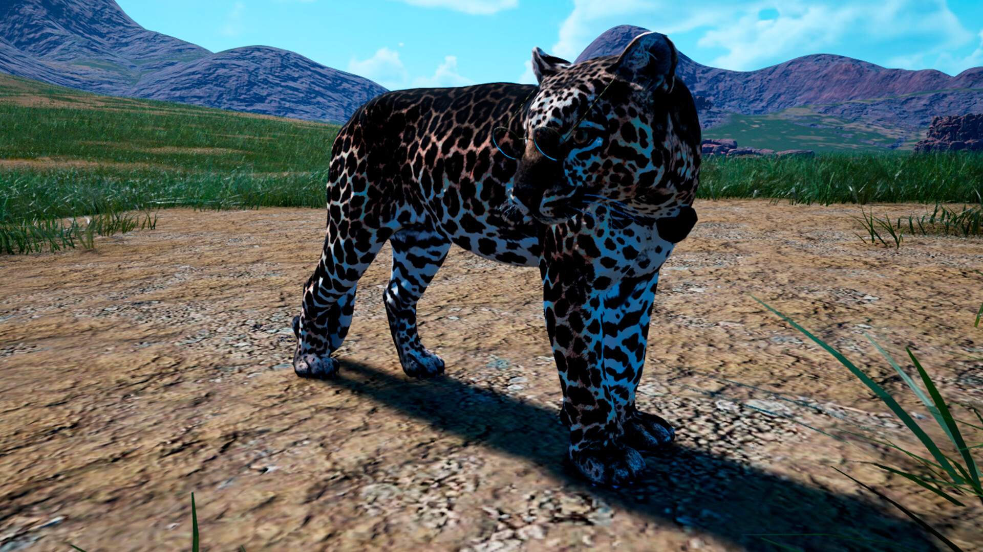 Animalia Survival: Haloween Pack