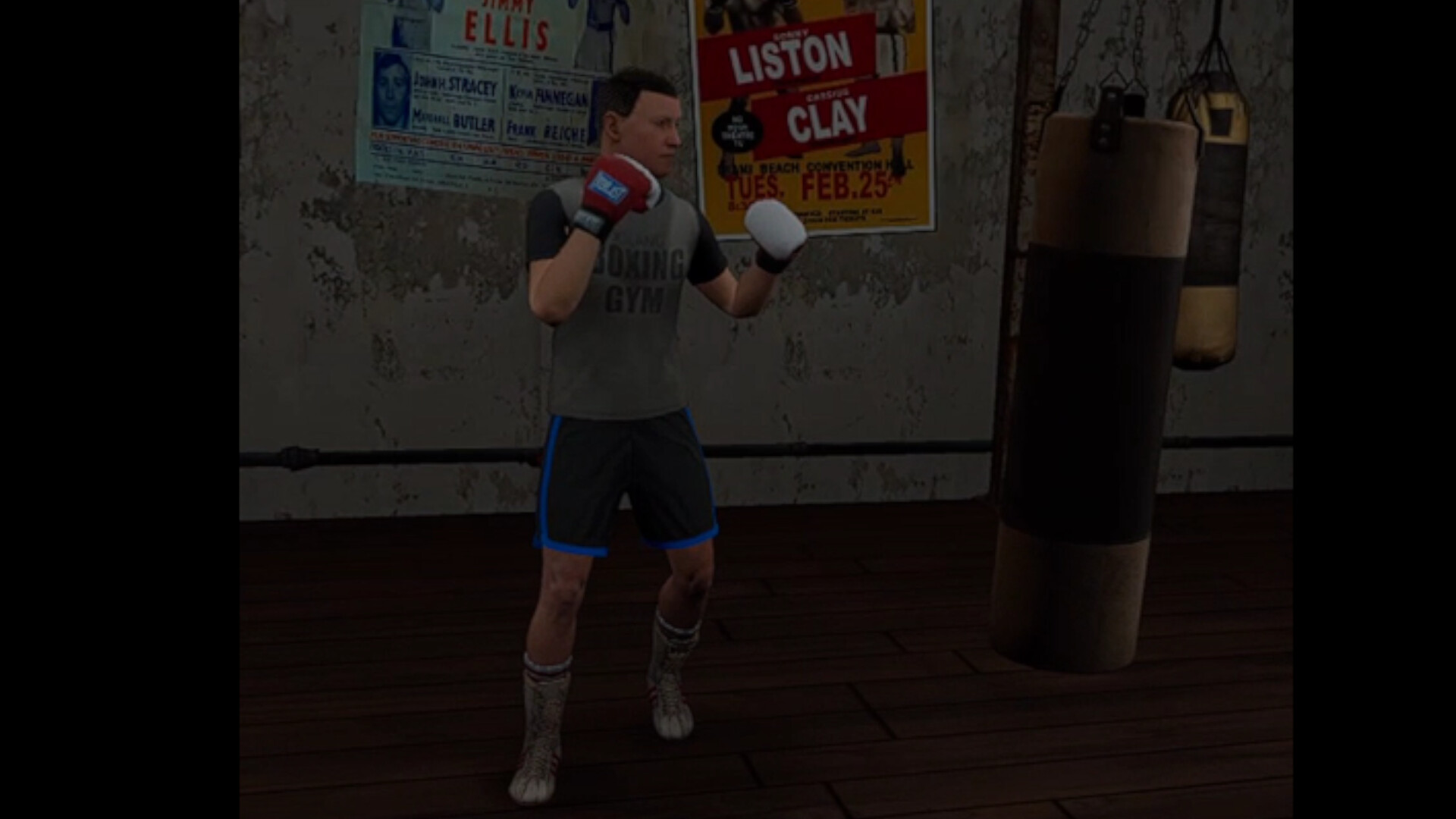 True Boxing VR