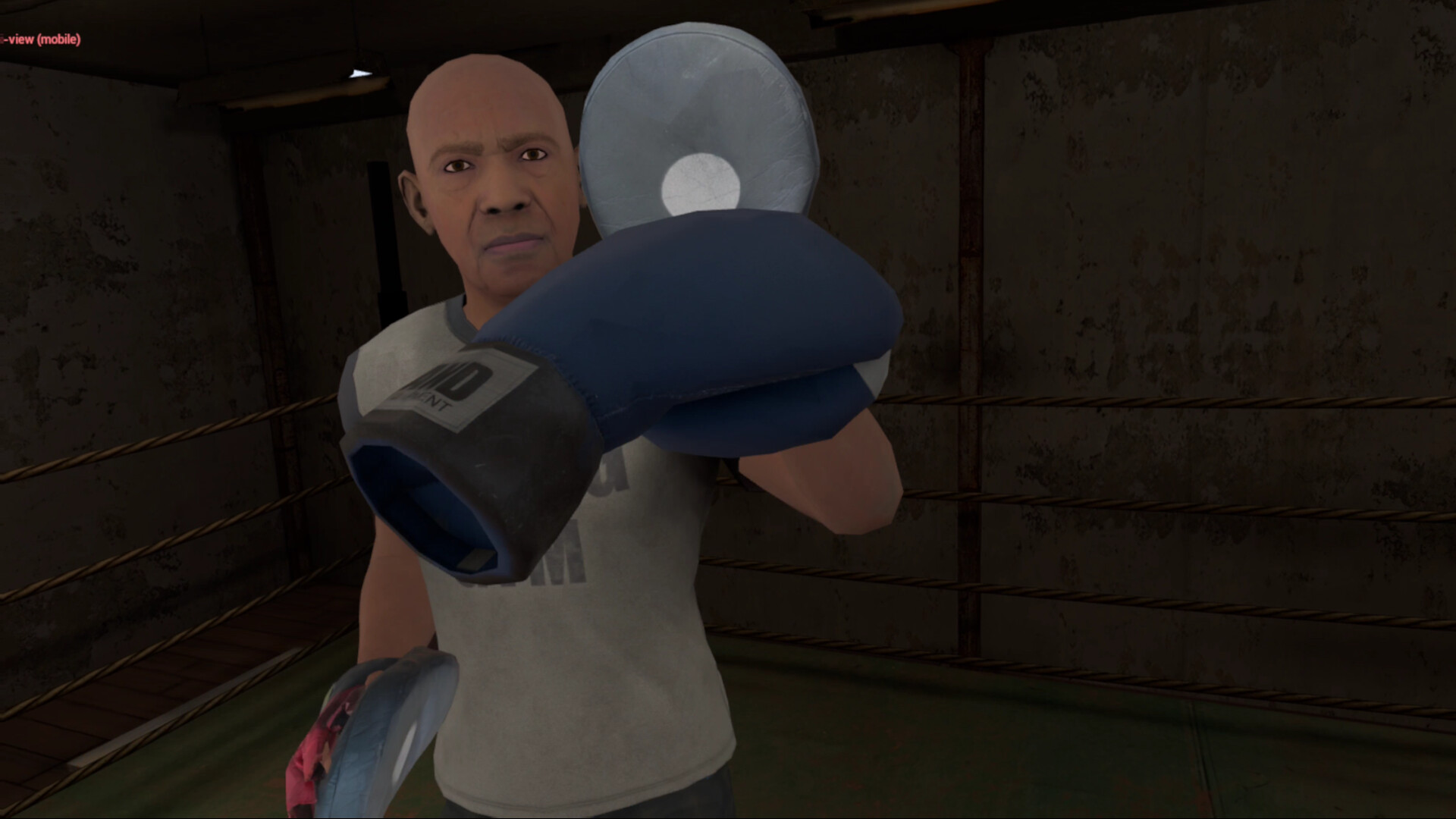 True Boxing VR