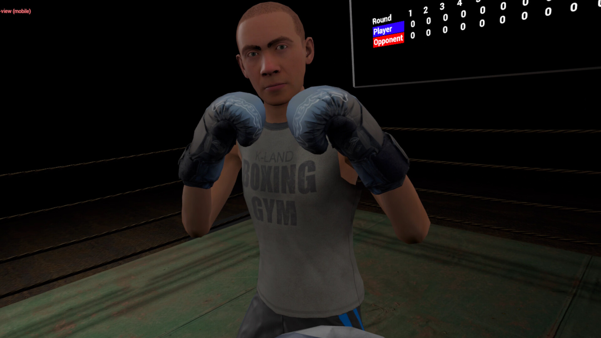True Boxing VR