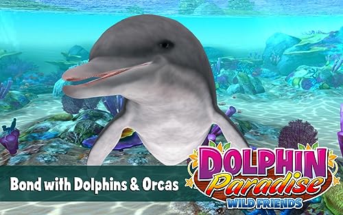 Dolphin Paradise: Wild Friends