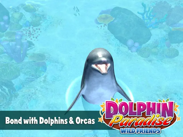 Dolphin Paradise: Wild Friends