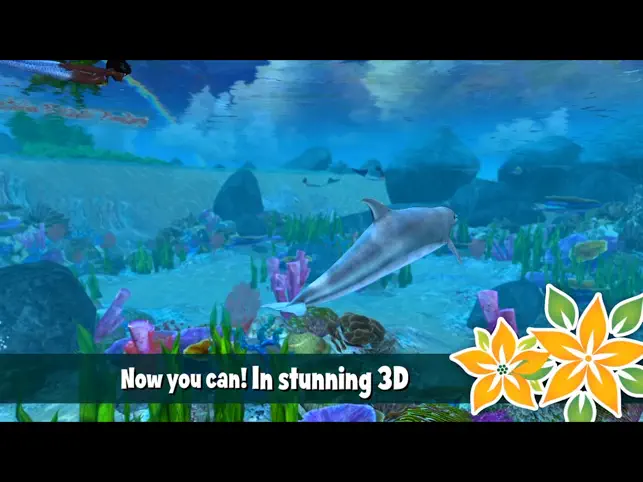 Dolphin Paradise: Wild Friends