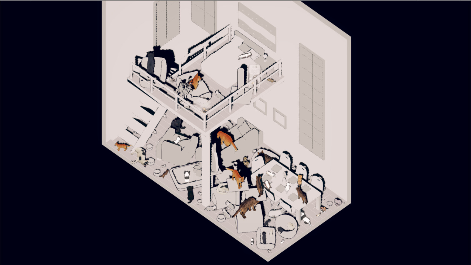 Cat Apartment
