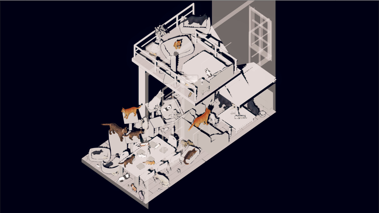 Cat Apartment