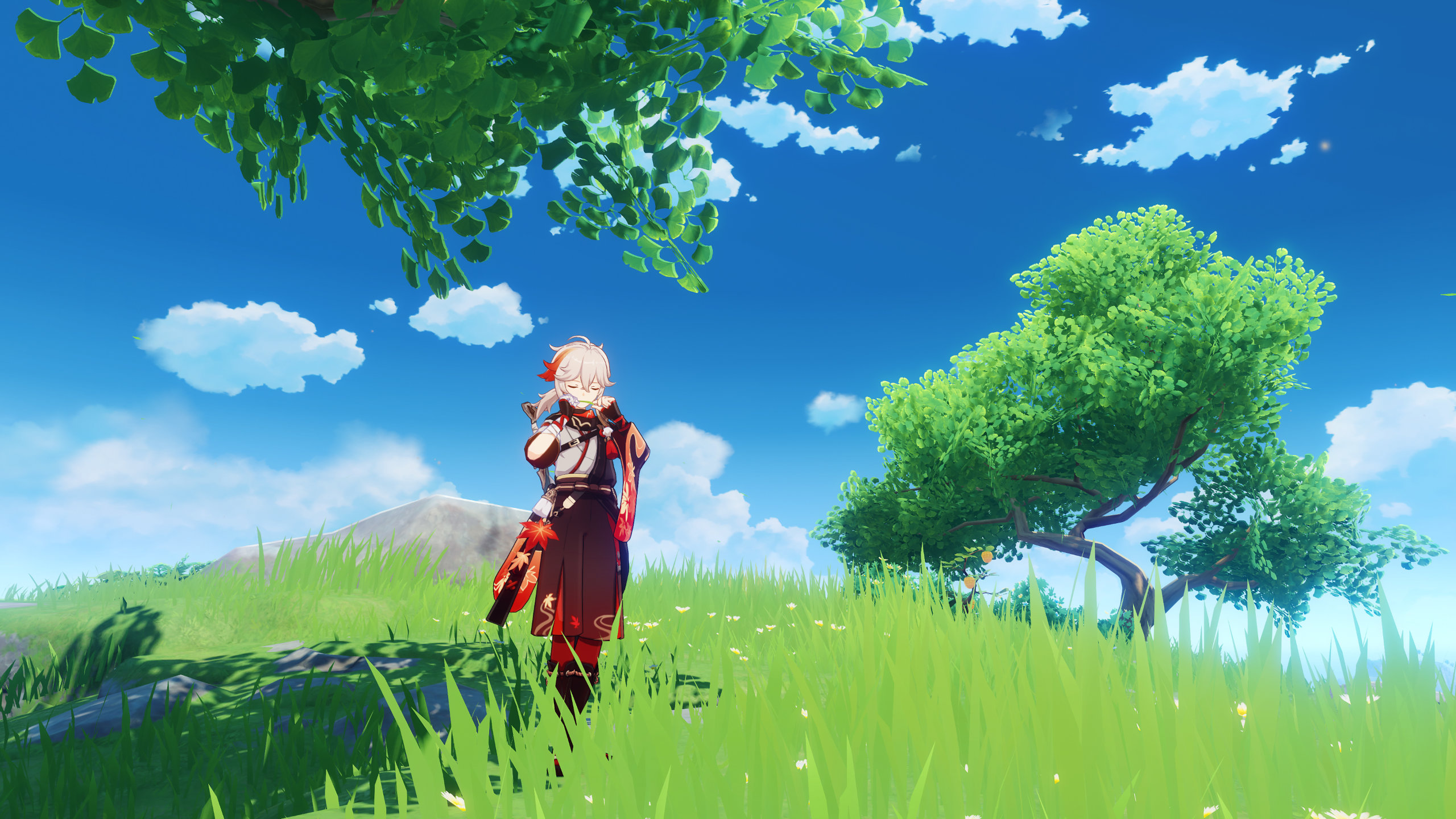 Genshin Impact: Midsummer Island Adventure
