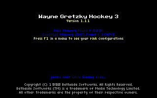 Wayne Gretzky Hockey 3