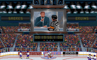 Wayne Gretzky Hockey 3