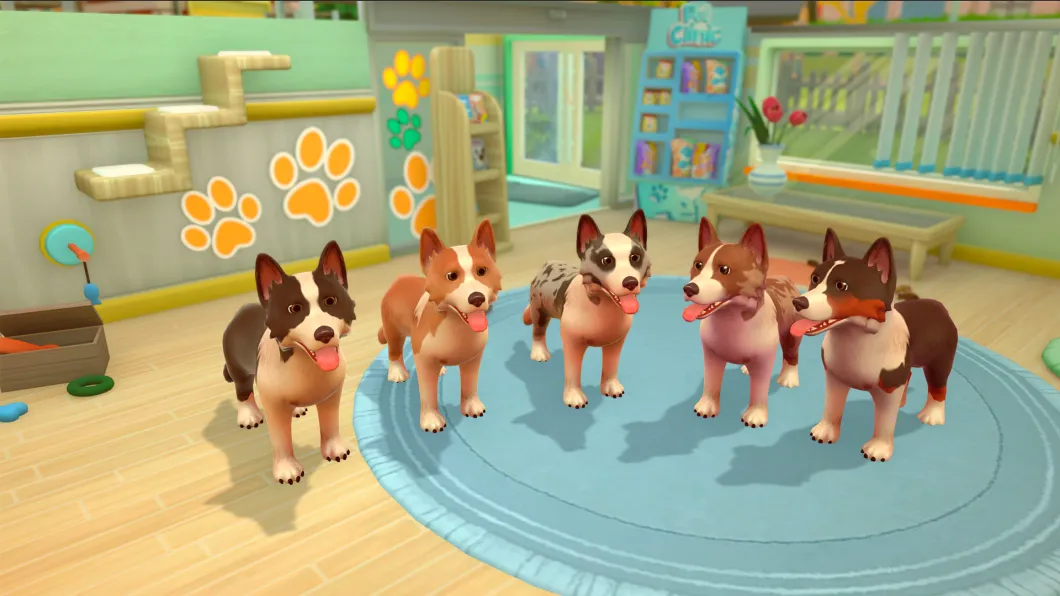 My Universe: Pet Clinic – Cats &amp; Dogs: Panda Edition