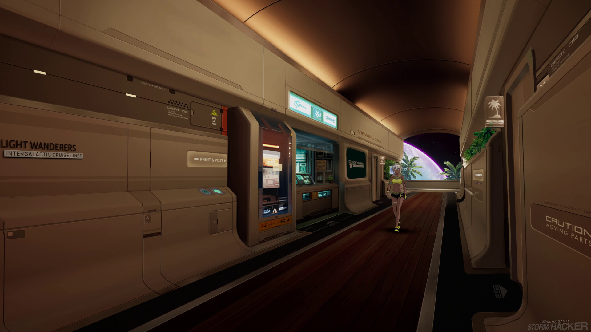 Aenigma Game: Storm Hacker