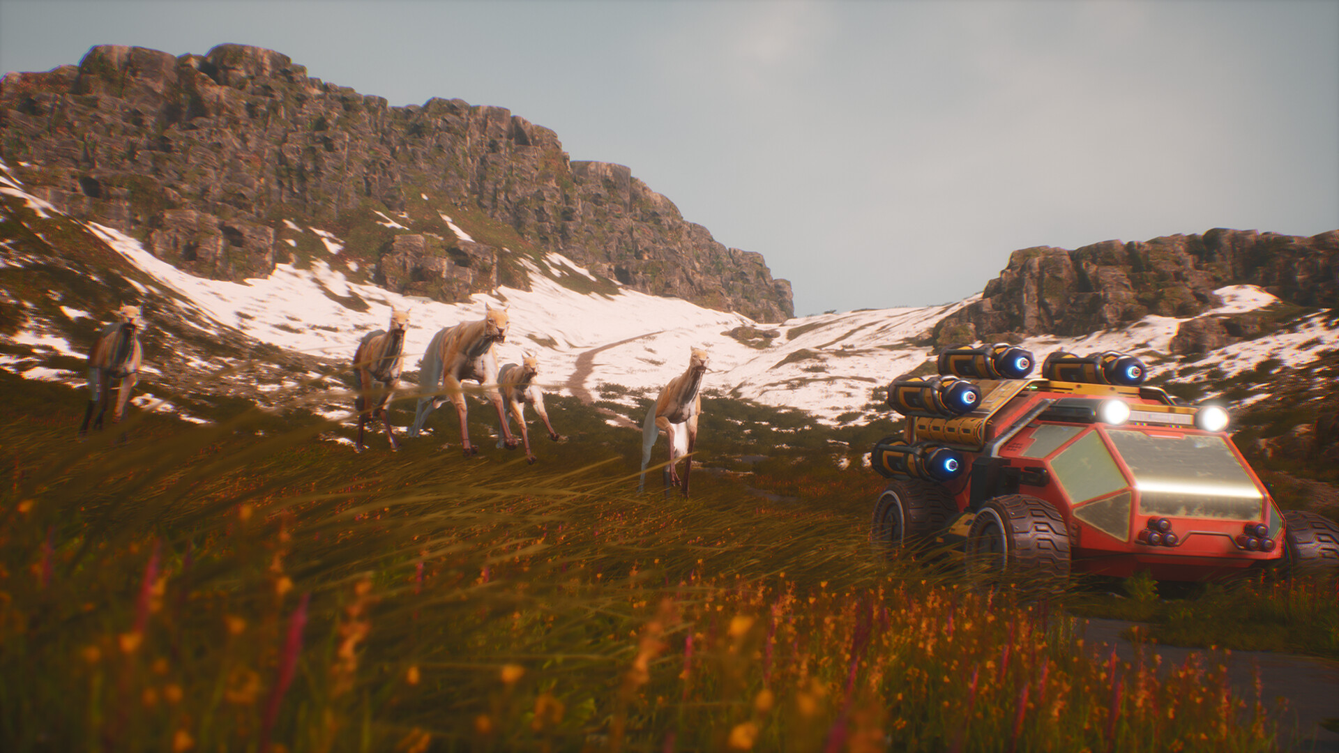 The Signal: Stranded on Sirenis