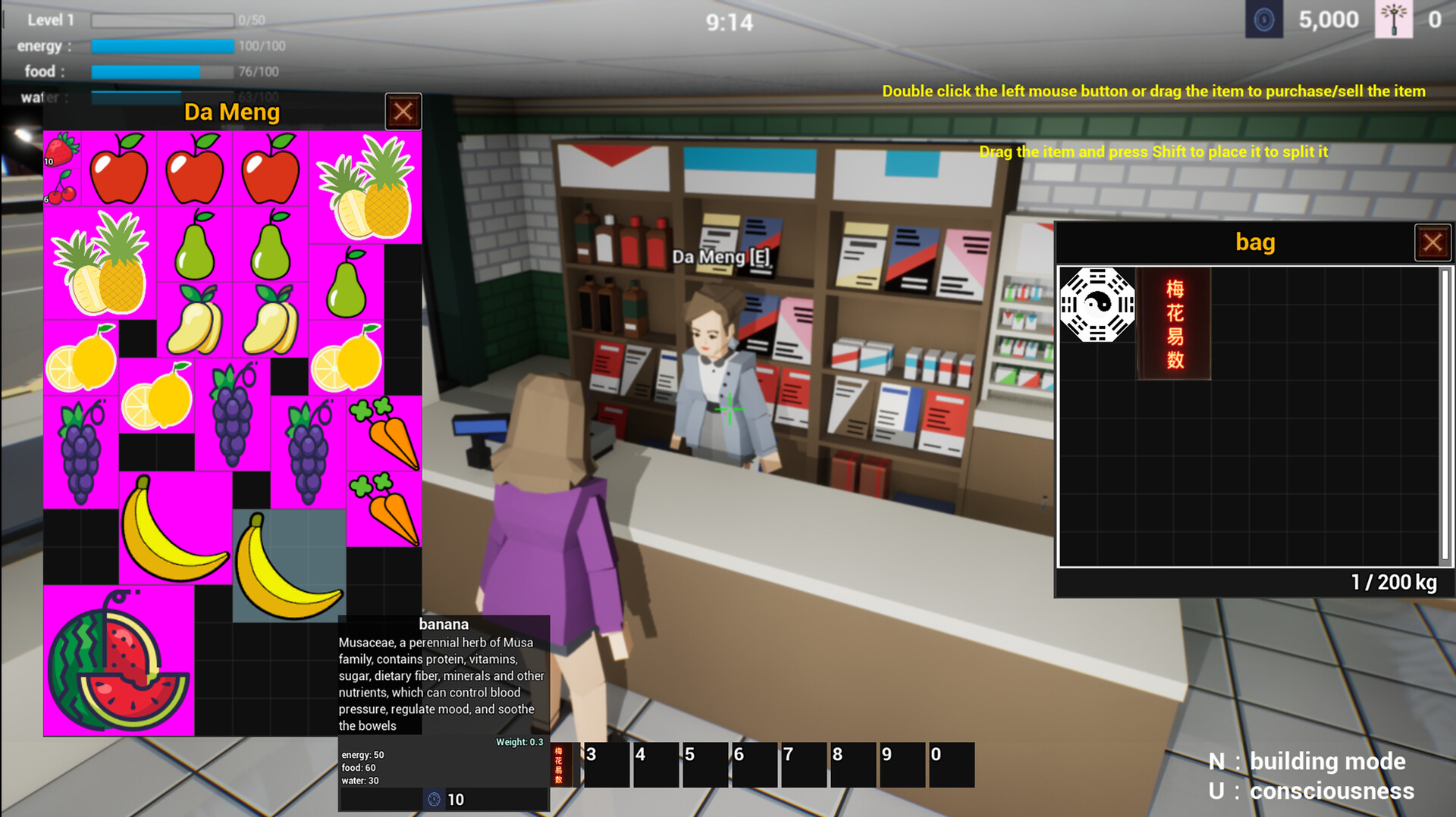 Plum Blossom Divination