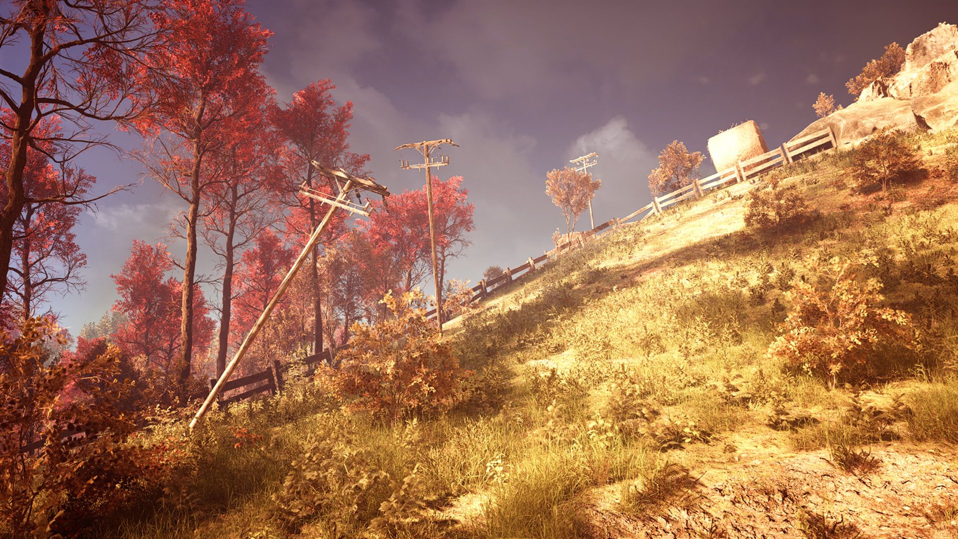 Slender: The Arrival