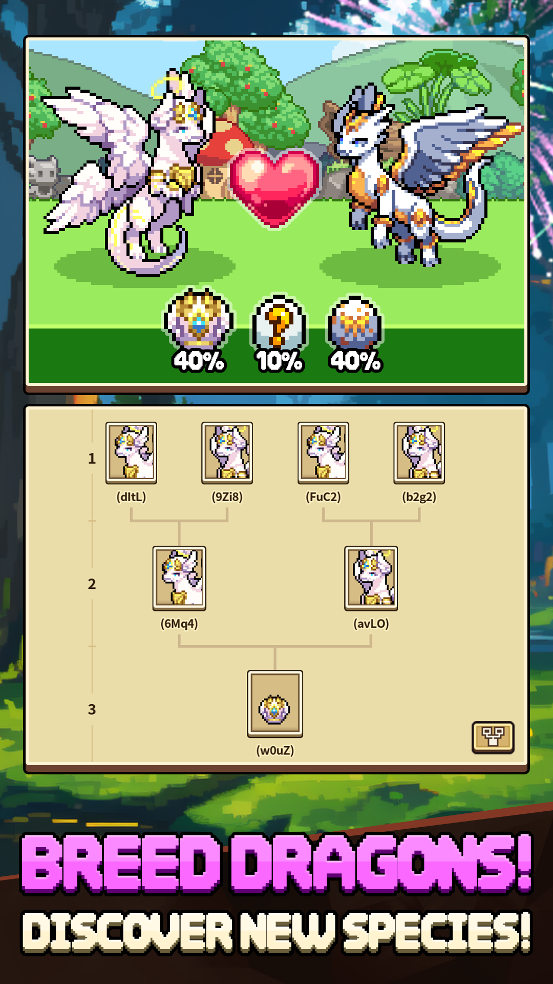 Dragon Village Collection