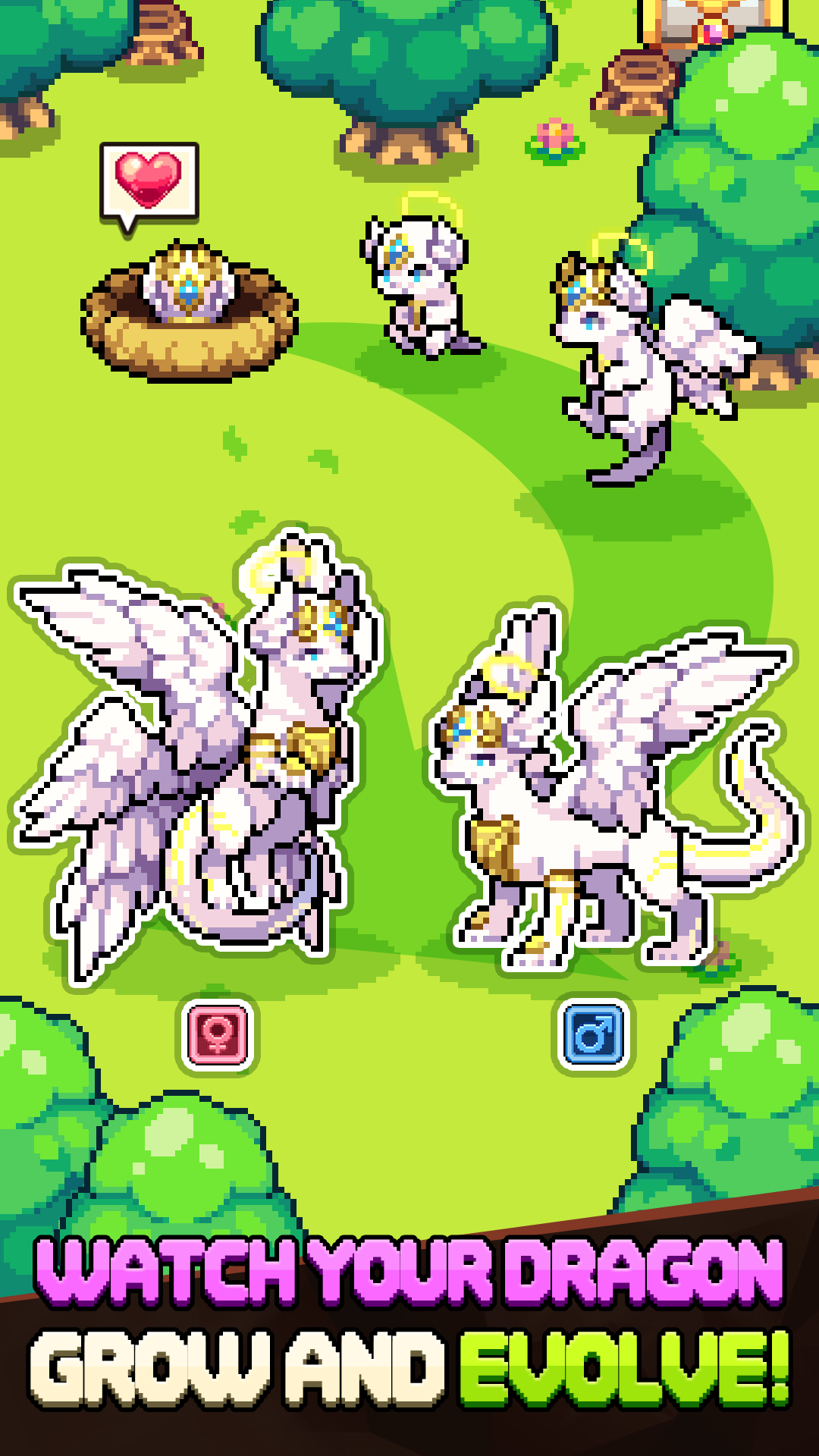 Dragon Village Collection