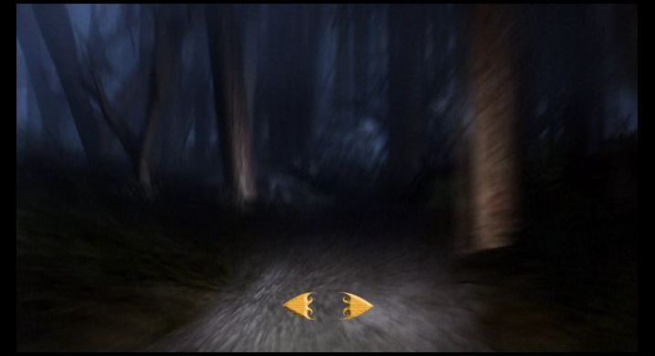 Harry Potter and the Chamber of Secrets: The Forbidden Forest Challenge