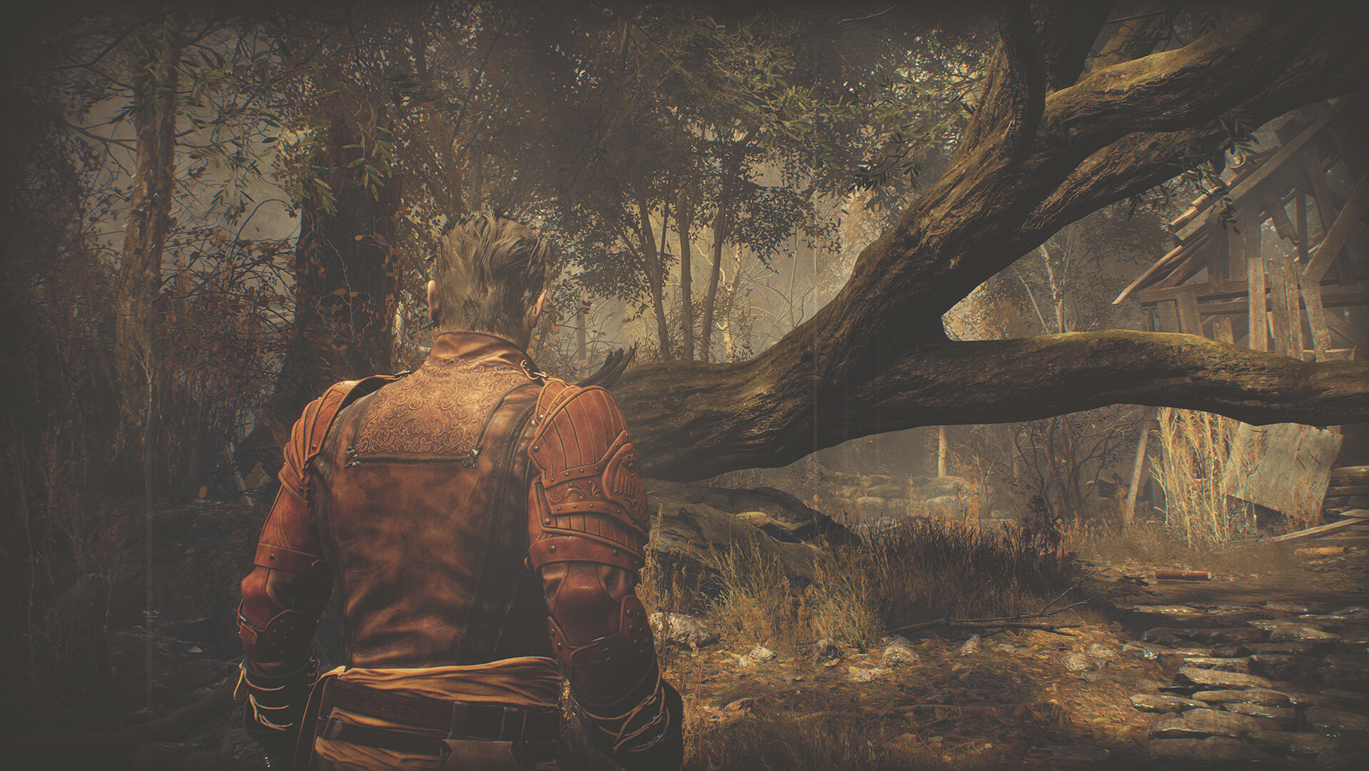 Resident Evil 4: Extra DLC Pack