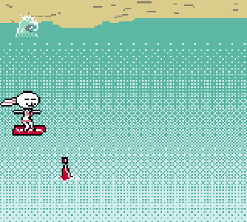 Surfer Bunny