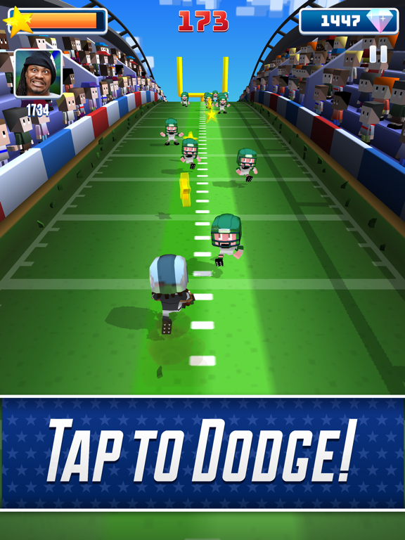 Marshawn Lynch Blocky Football