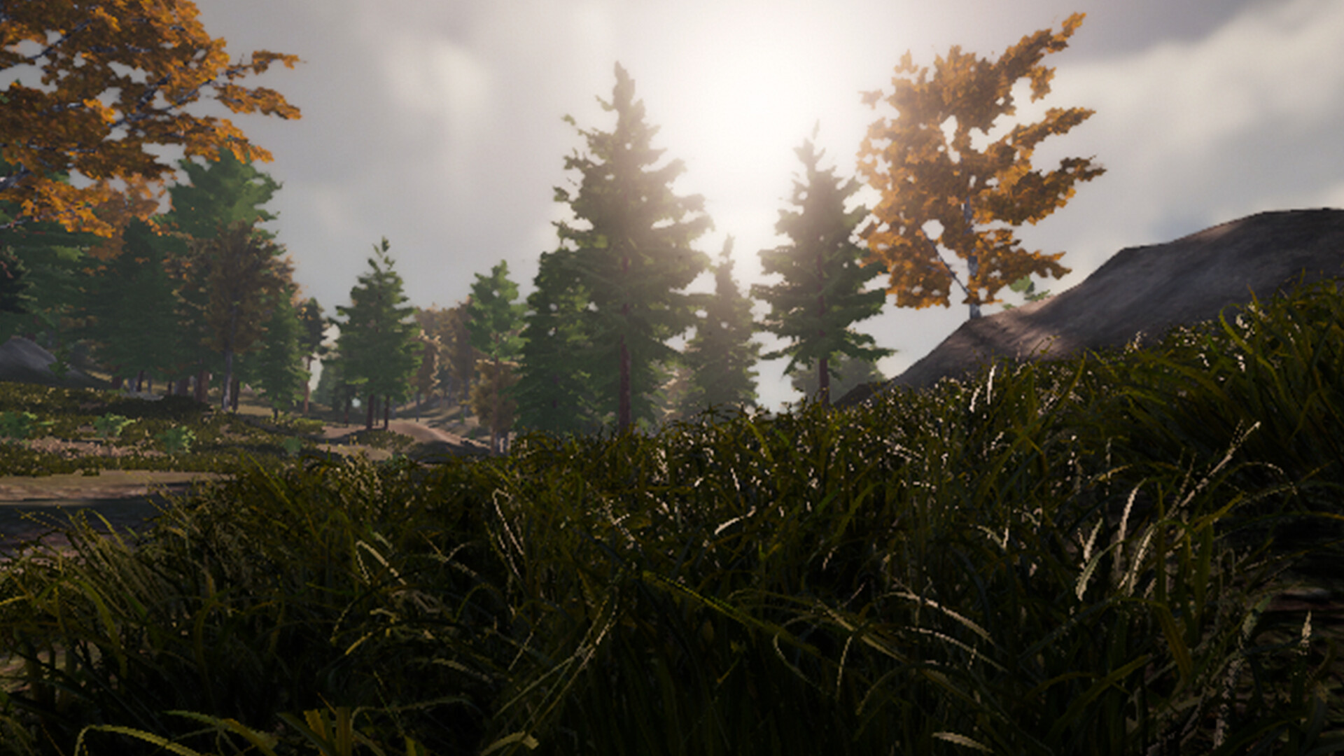 Wild Hunting